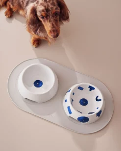 Itsumo pet