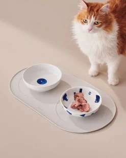 Itsumo pet Yunoki ware