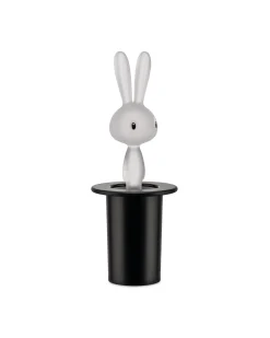 Magic Bunny